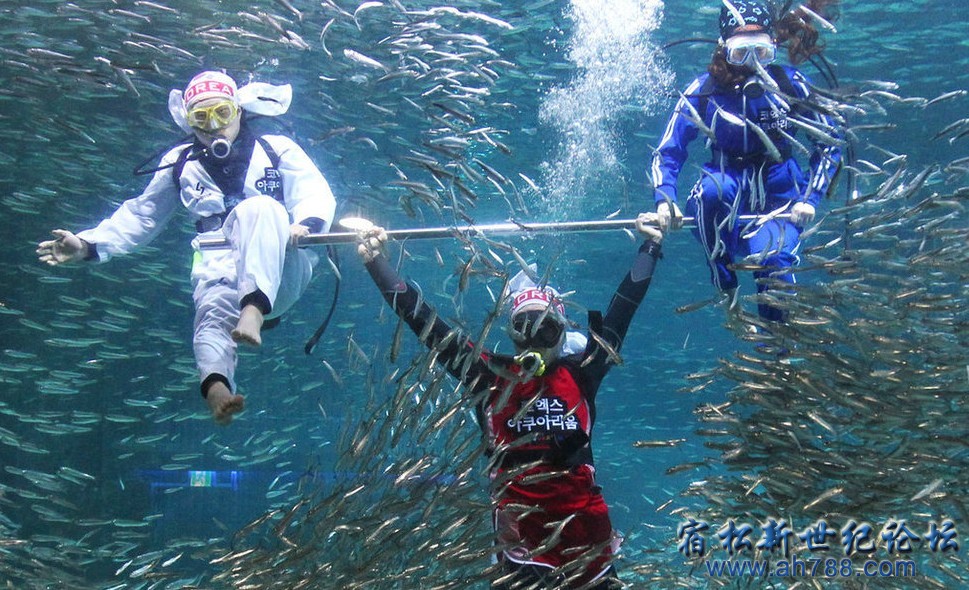 QQ截图20120813004454.jpg