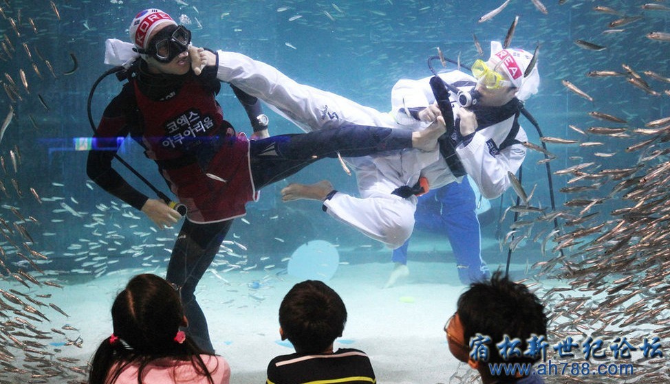 QQ截图20120813004527.jpg