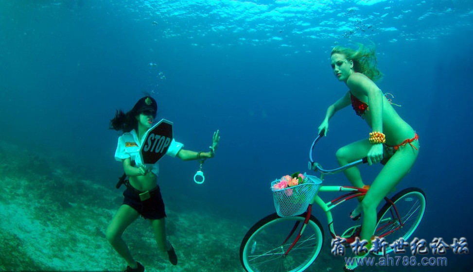 QQ截图20120813004555.jpg