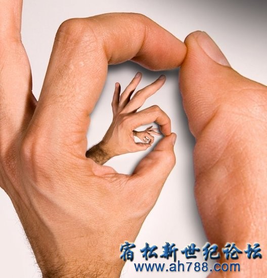3351601_550x550_0.jpg