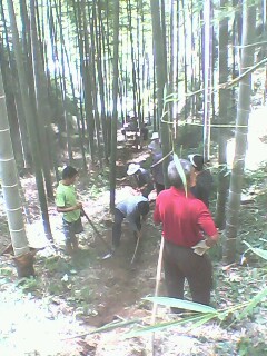 IMG0217A.jpg