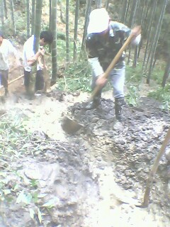 IMG0222A.jpg