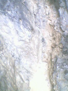 IMG0221A.jpg