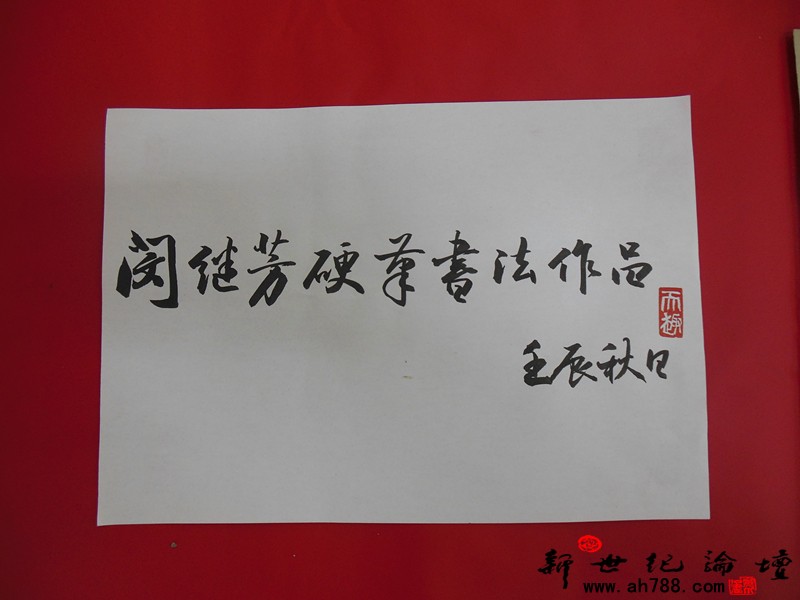 宿松新世纪论坛 摄 闵继芳先生硬笔书法作品展01.jpg