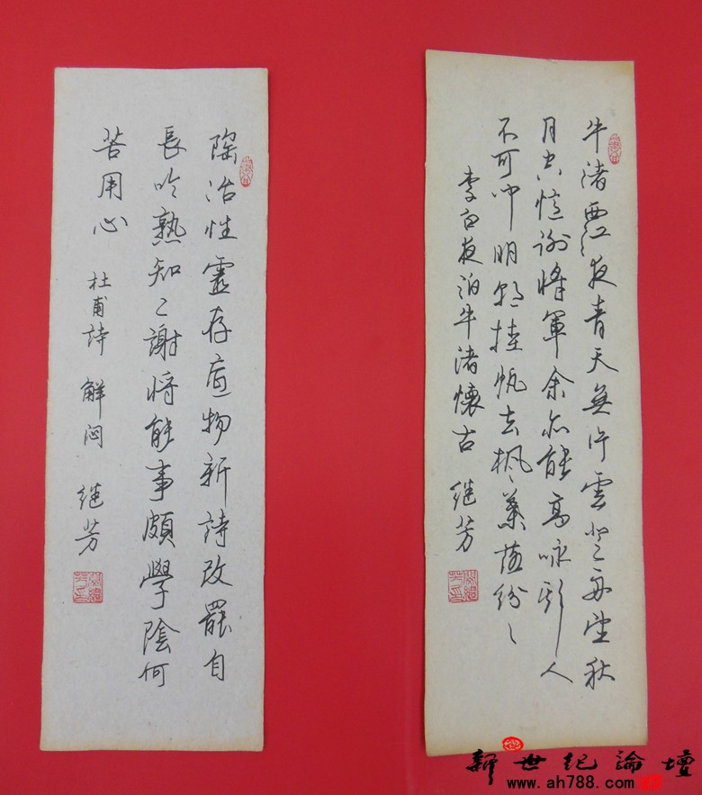 宿松新世纪论坛 摄 闵继芳先生硬笔书法作品展26.jpg