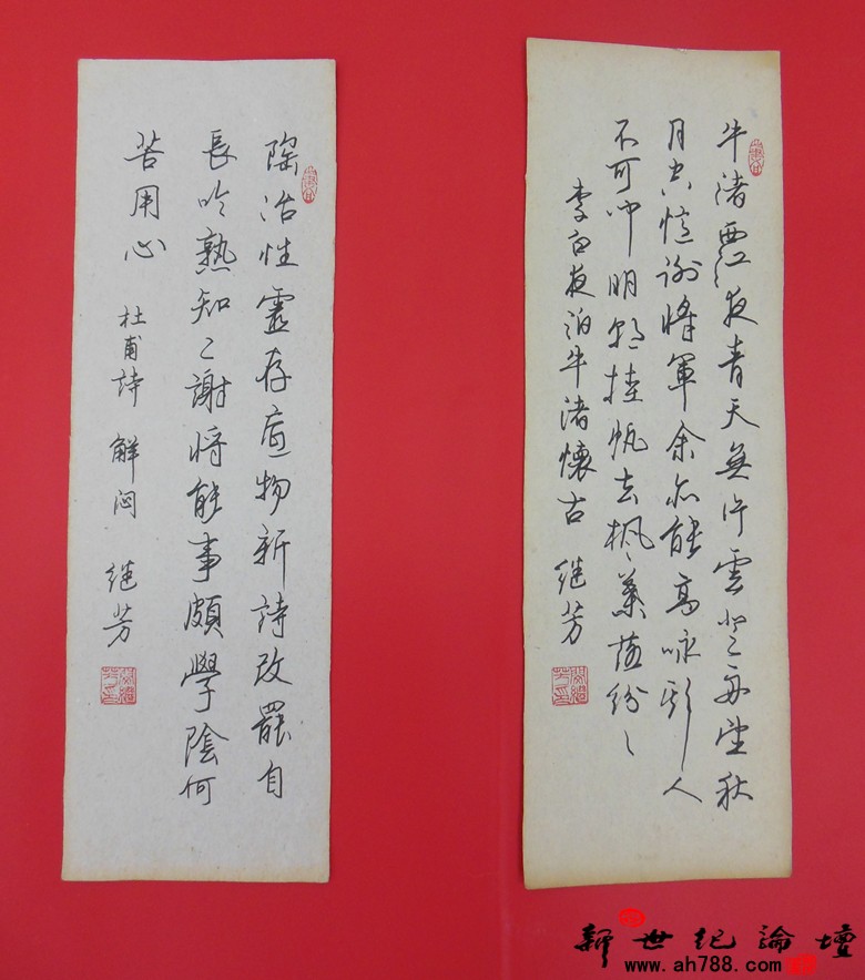 宿松新世纪论坛 摄 闵继芳先生硬笔书法作品展27.jpg