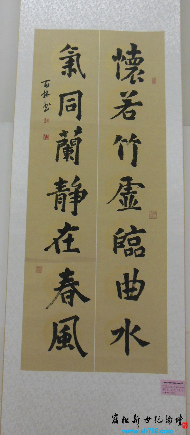 宿松新世纪论坛 摄 2012庆祝教师节宿松名家书法展29.jpg