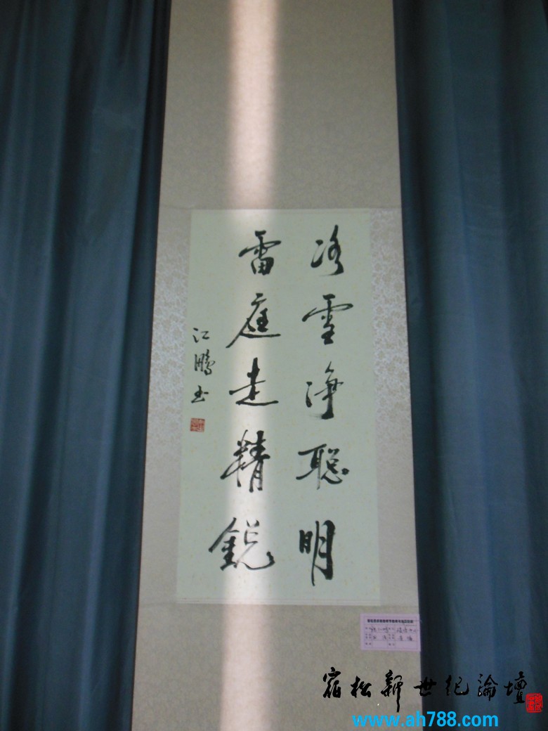 宿松新世纪论坛 摄 2012庆祝教师节宿松名家书法展42.jpg