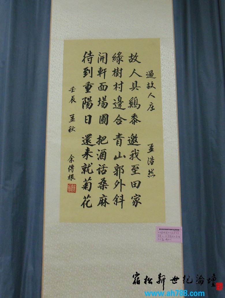 宿松新世纪论坛 摄 2012庆祝教师节宿松名家书法展46.jpg