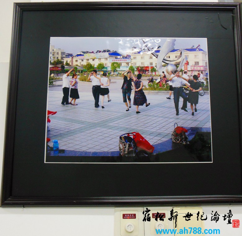 宿松新世纪论坛 摄 2012庆祝教师节宿松名家摄影展08.jpg