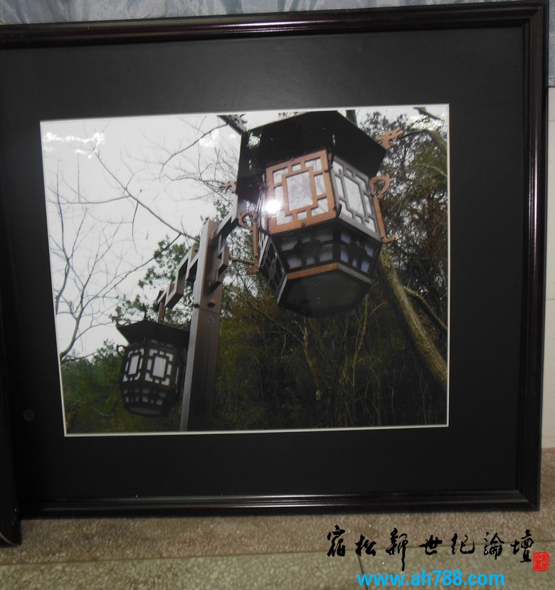 宿松新世纪论坛 摄 2012庆祝教师节宿松名家摄影展17.jpg