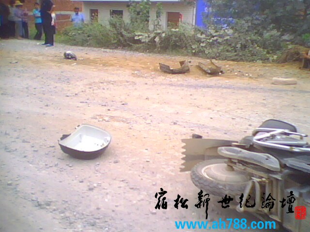 IMG1807A.jpg