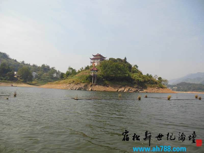 宿松新世纪论坛网友前往钓鱼台保岛示威签名 野餐 烧烤 观光-垂钓活动，宿松新世纪论坛.jpg