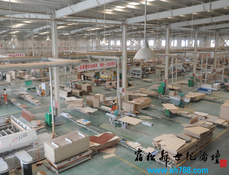 广东金雪龙沙发宿松分厂车间俯射 宿松新世纪论坛 摄.jpg