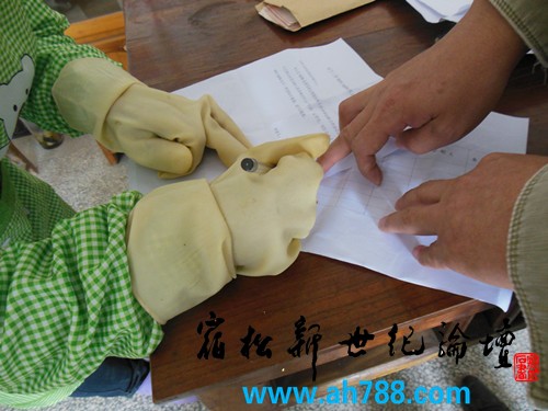宿松新世纪论坛 摄2_副本.jpg