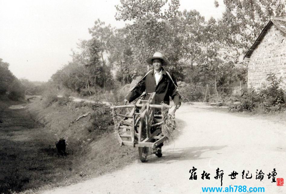 推车.jpg