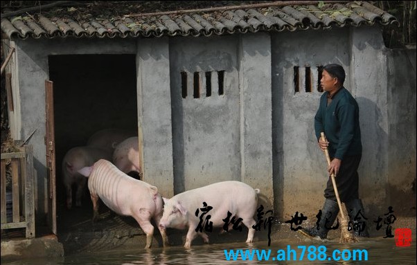 QQ截图20121115200316.jpg