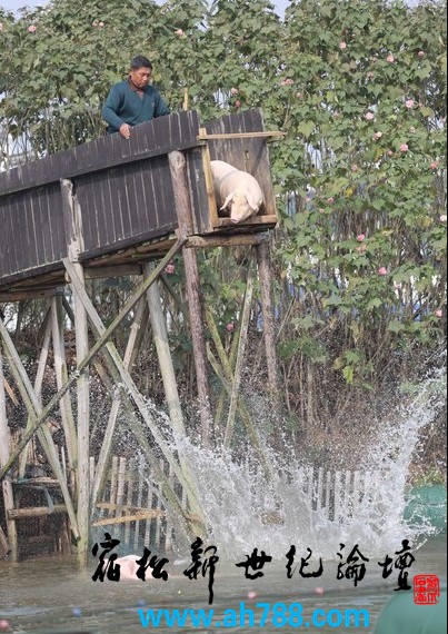 QQ截图20121115200305.jpg