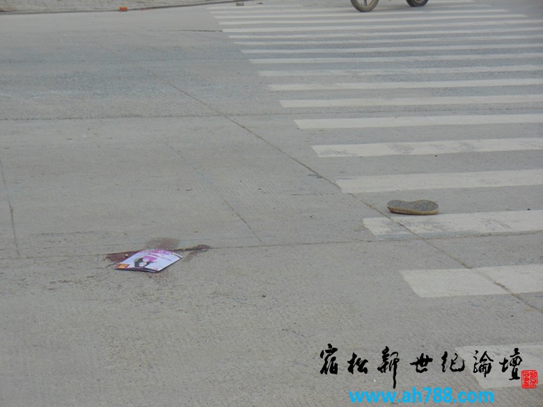 新世纪论坛 摄.jpg