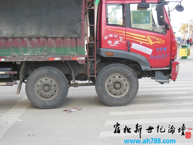 新世纪论坛 摄是.jpg