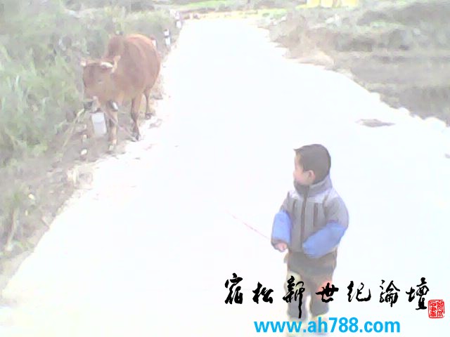 IMG0105A.jpg