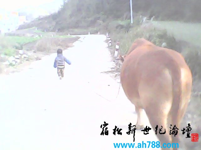 IMG0091A.jpg