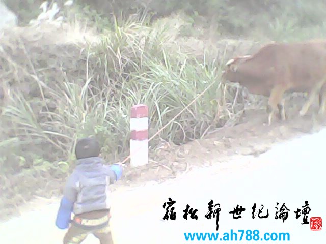 IMG0103A.jpg