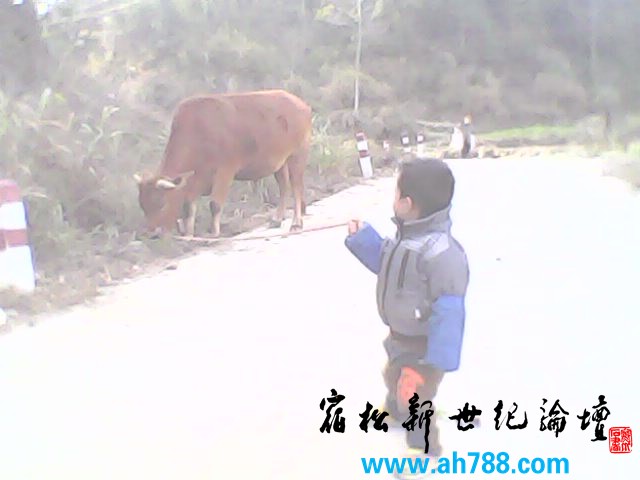 IMG0099A.jpg