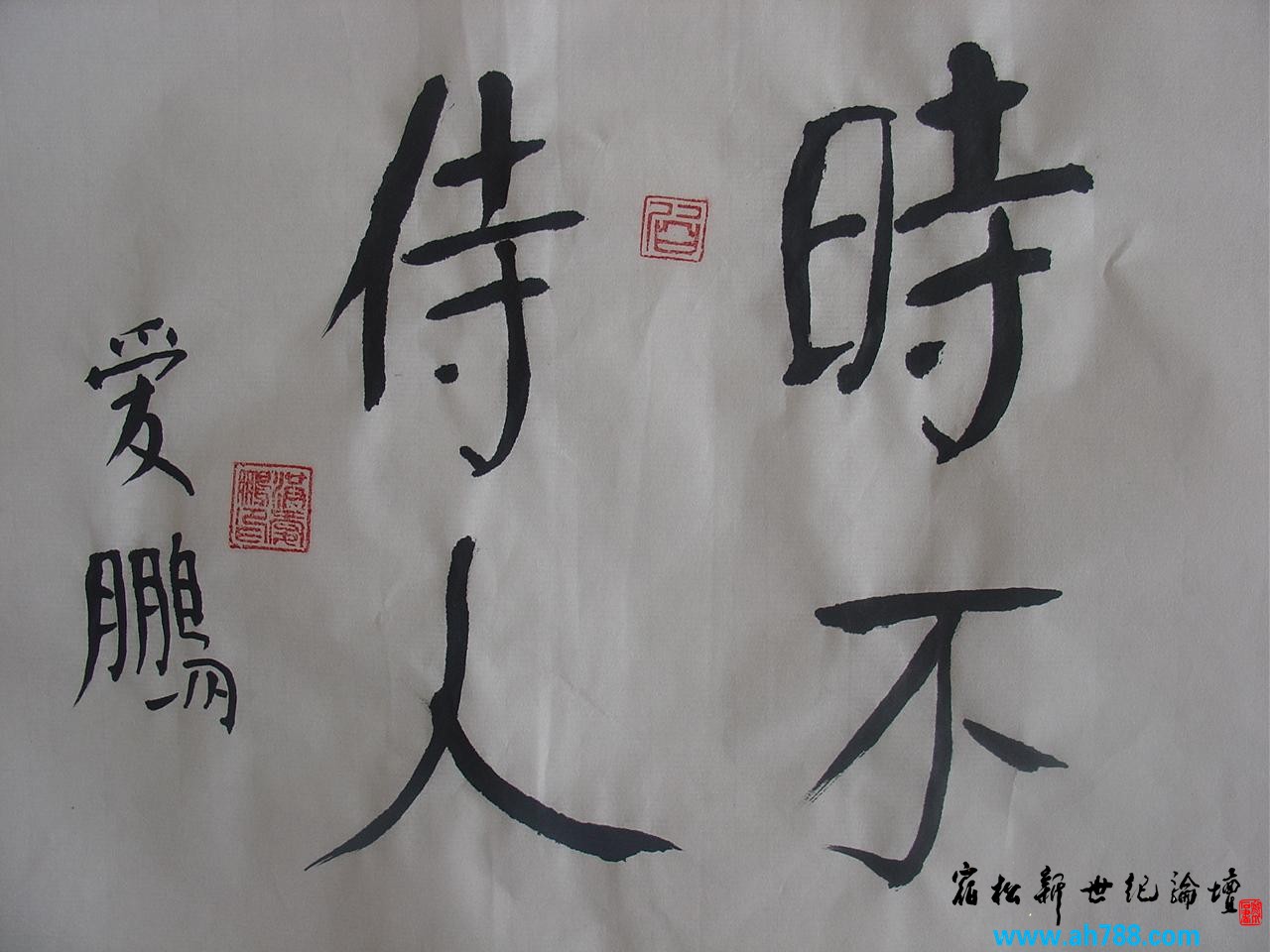 DSC01401.JPG