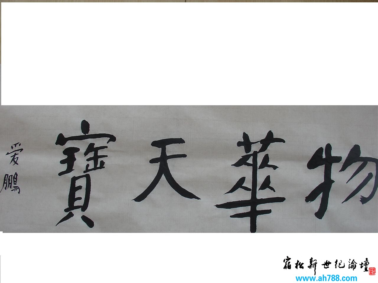 DSC00860.JPG