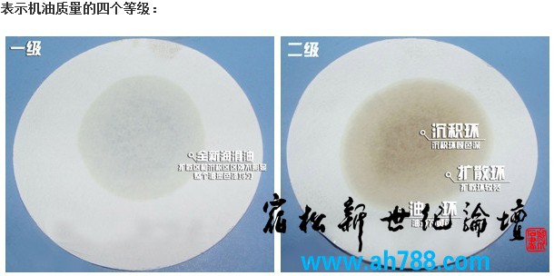 油品5.jpg