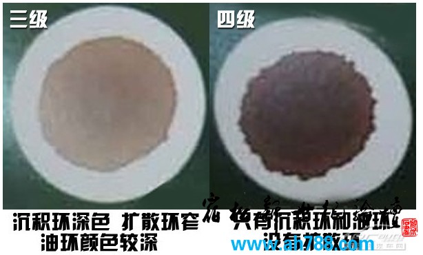 油品6.jpg