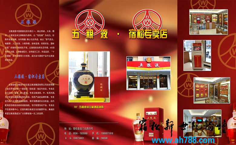 皖鄂赣三省唯一五粮液宿松专卖店新世纪论坛上传.jpg
