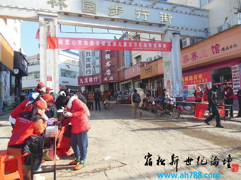 宿松新世纪论坛公益协会义卖福利彩票现场，宿松新世纪论坛 摄202.jpg