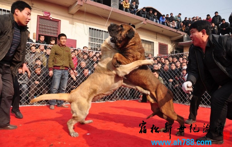 QQ截图20130102165801.jpg