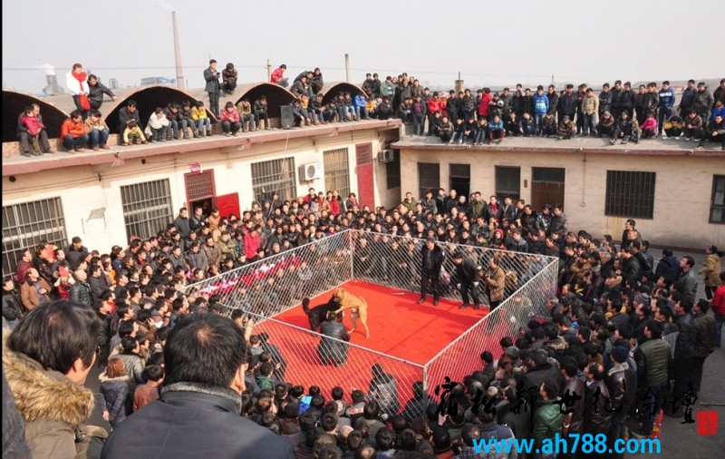 QQ截图20130102165818.jpg