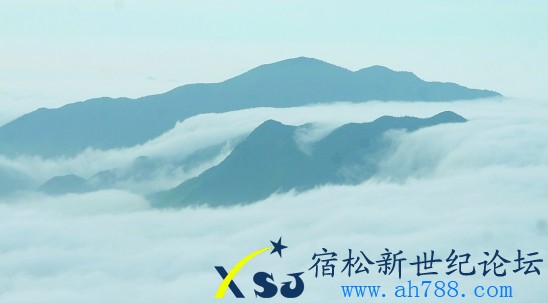 雾.jpg