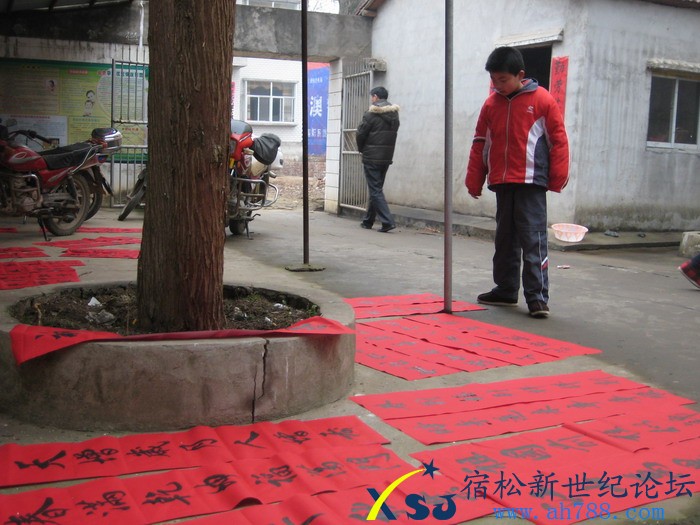 照片 257.jpg