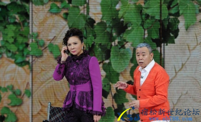 2013蛇年春晚照片，宿松新世纪论坛上传10.jpg