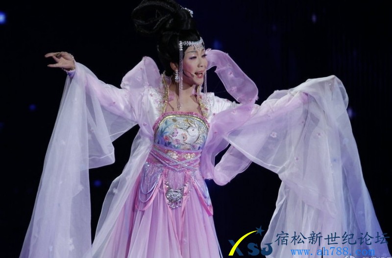 2013蛇年春晚照片，宿松新世纪论坛上传14.jpg