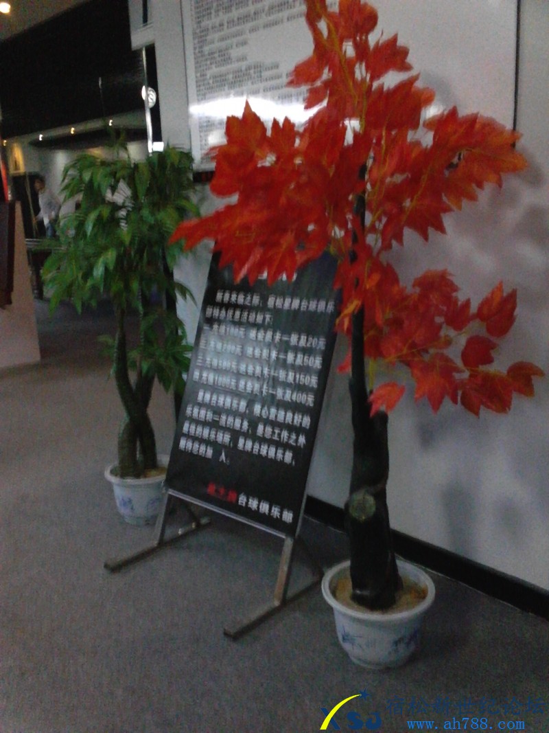 IMG_20130226_203014.jpg