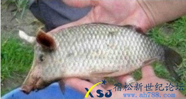 未命名555.jpg
