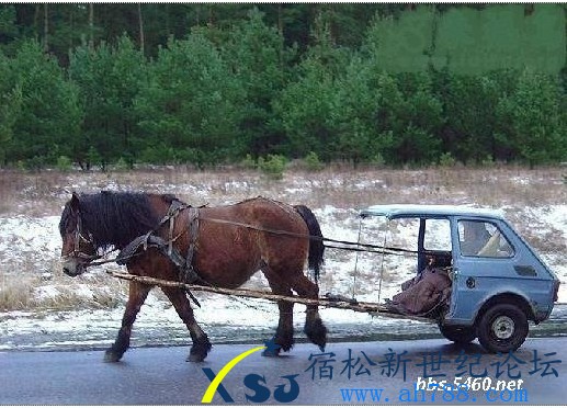 QQ截图20130318195458.jpg