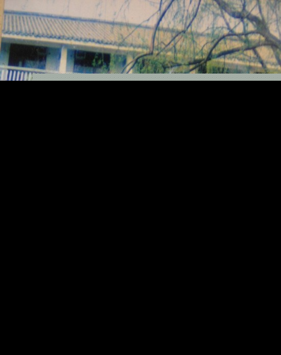 20130306212241_8wmey88i2u.jpg