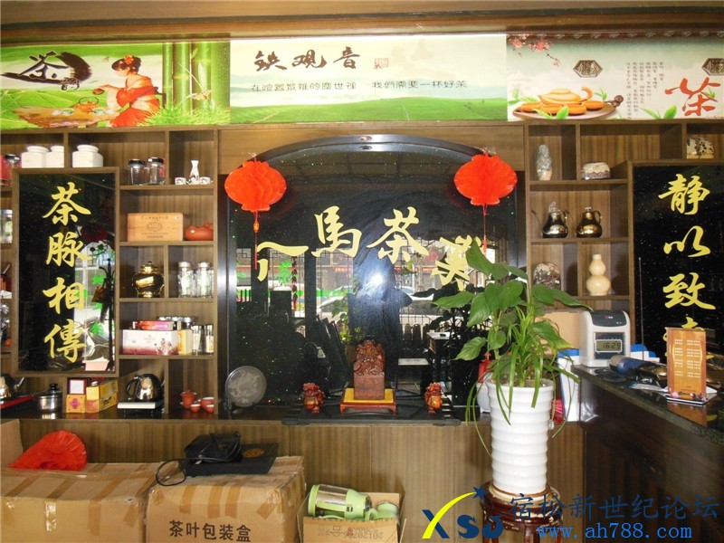 八马茶庄，新世纪论坛上传1.jpg
