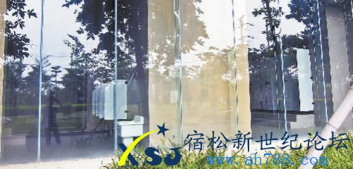 Img373299797.jpg