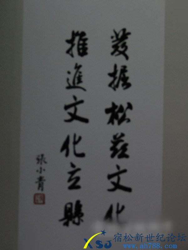 宿松新世纪34.jpg