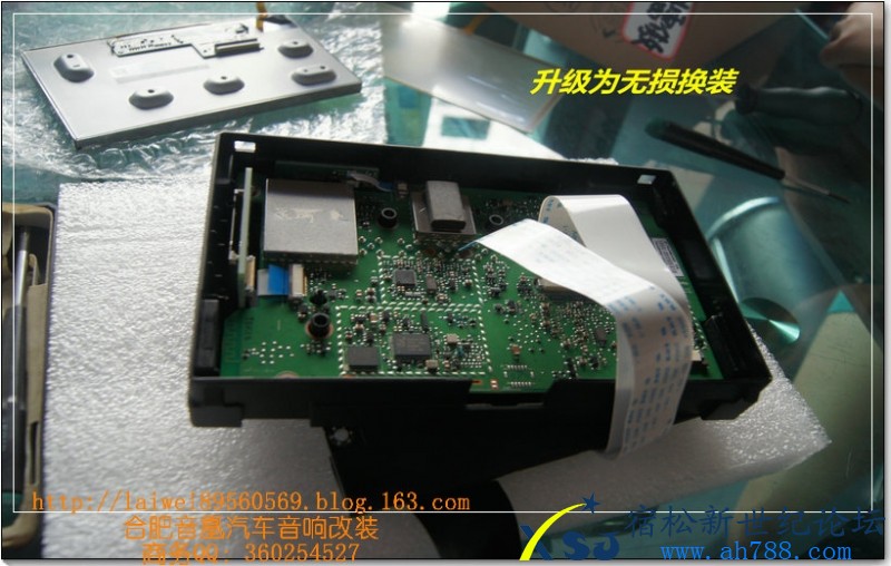 DSC05514.jpg