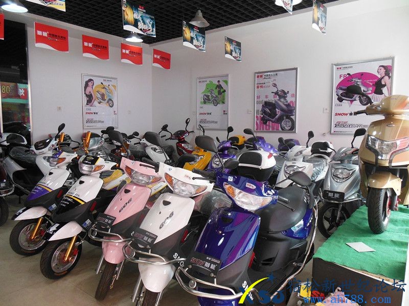 狮龙自动波电动车宿松专卖店牵手公益.jpg