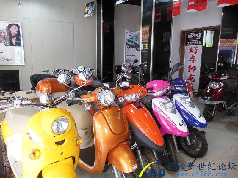 狮龙自动波电动车宿松专卖店牵手公益2.jpg